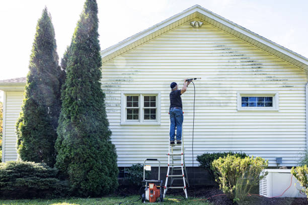 Best Driveway Cleaning and Restoration in Triangle, VA